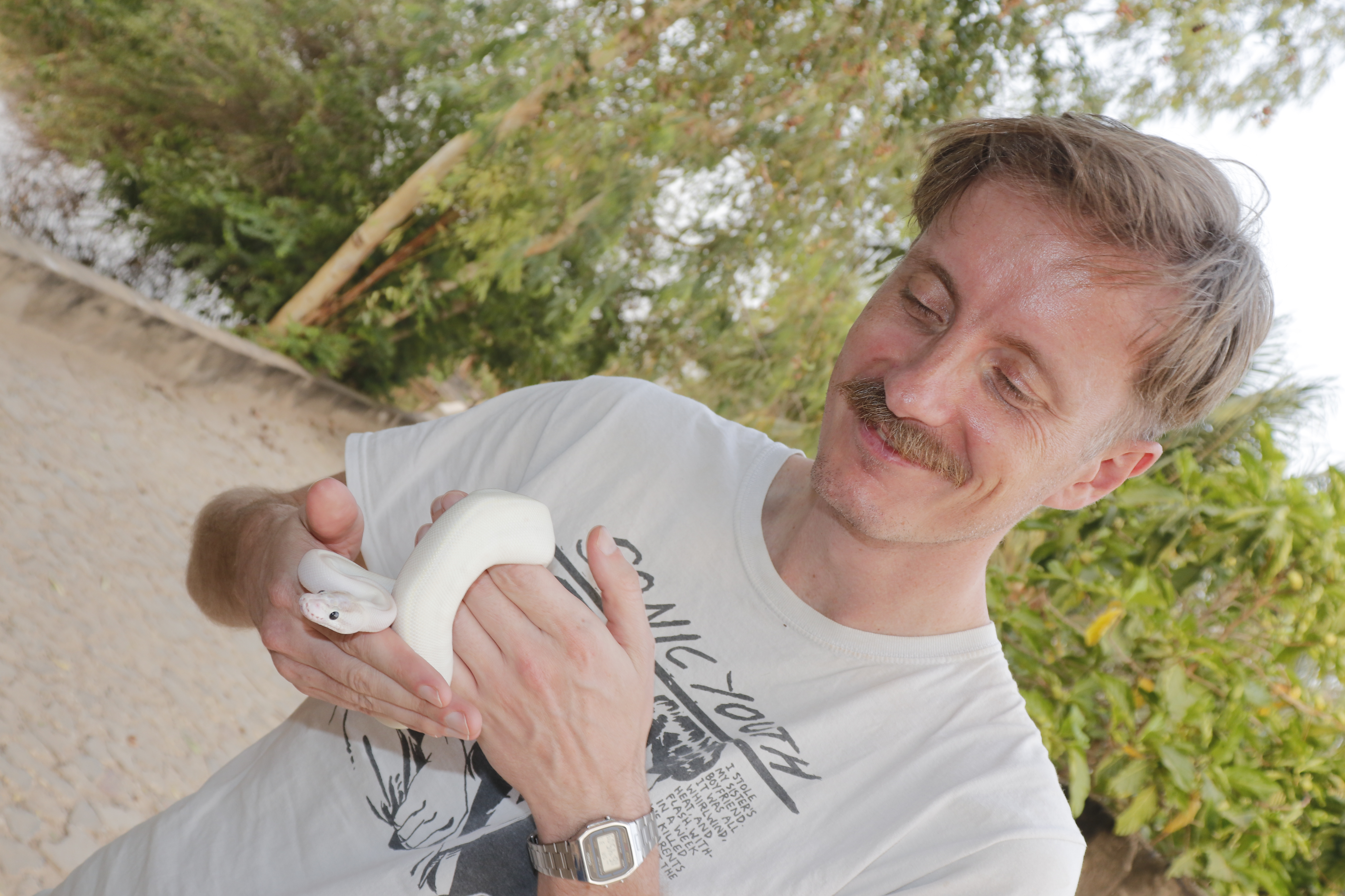 Visit animals in Lomé